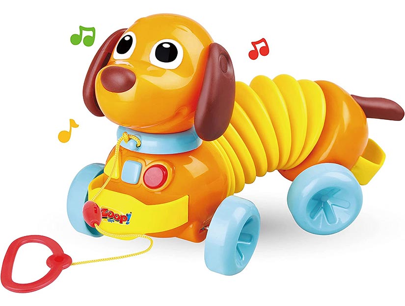 Cãozinho Sanfona